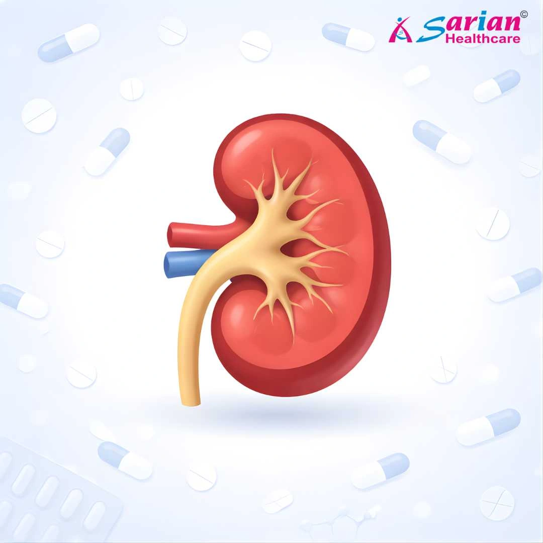 Nephrology kidney care medicines