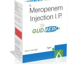 Meropenem 1gm Injection for Serious Infection | GUDMERO 1gm Injectionection